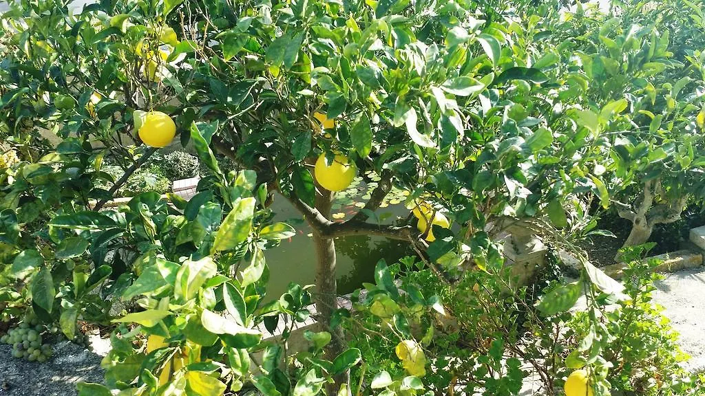 Appartement Sole E Fiori Di Sicilia à Valderice