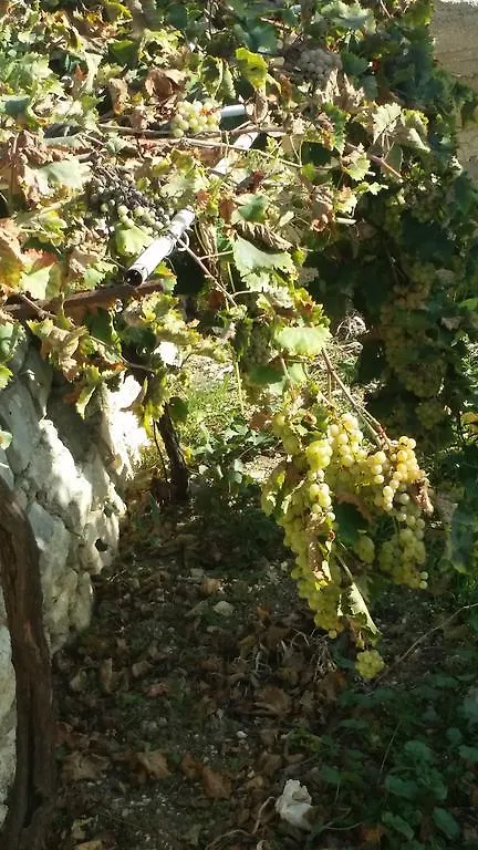 Sole E Fiori Di Sicilia